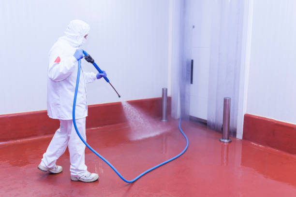 Best Restaurant Pressure Washing  in Goldenrod, FL
